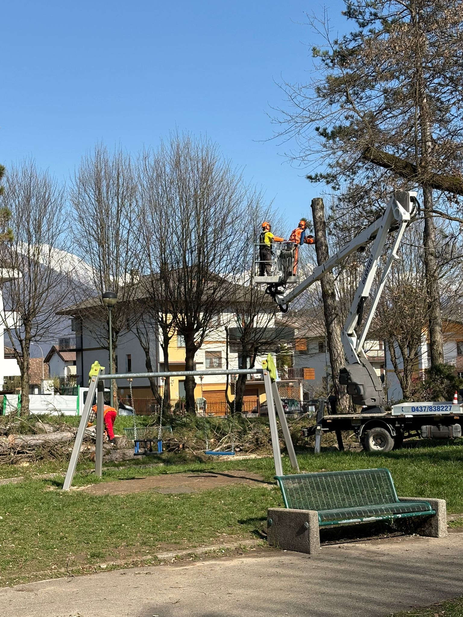 Parco di Nogarè: perché hanno tagliato 7 alberi?