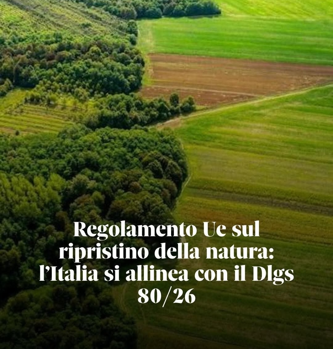 Il Piano nazionale di ripristino della natura: una svolta possibile anche per Belluno e Baldenich.